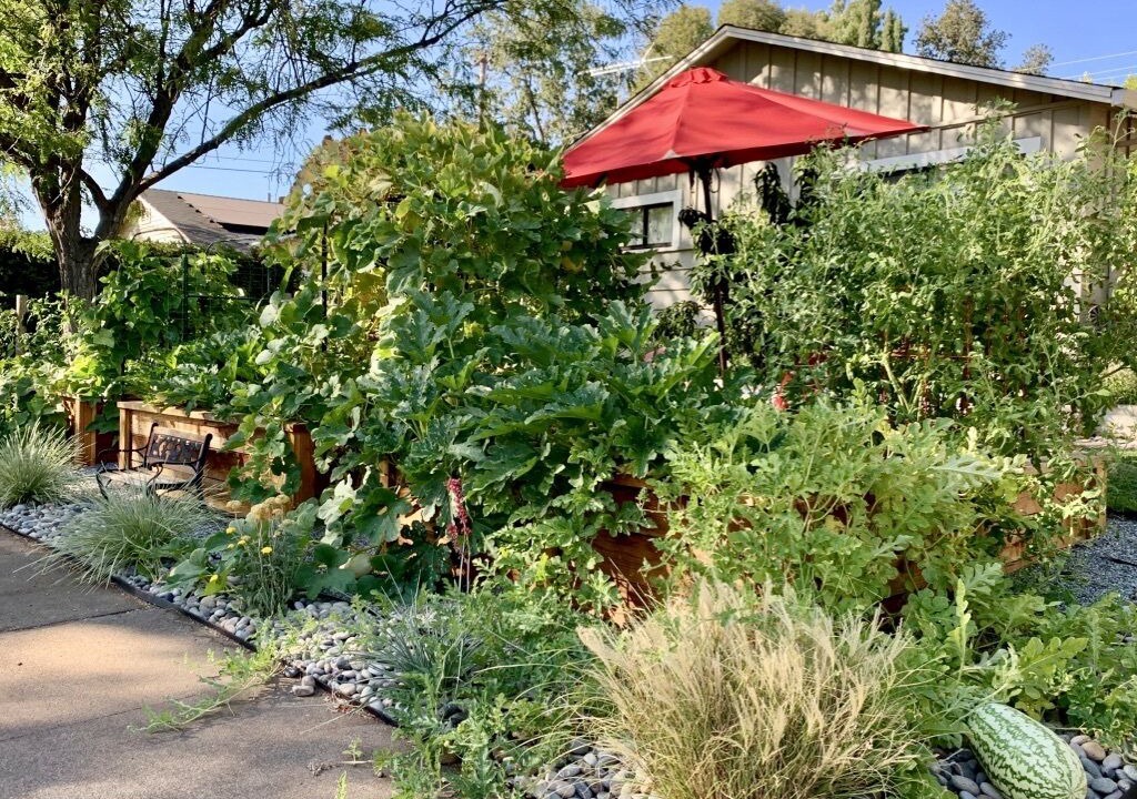 Photo of Outdoor in Chico