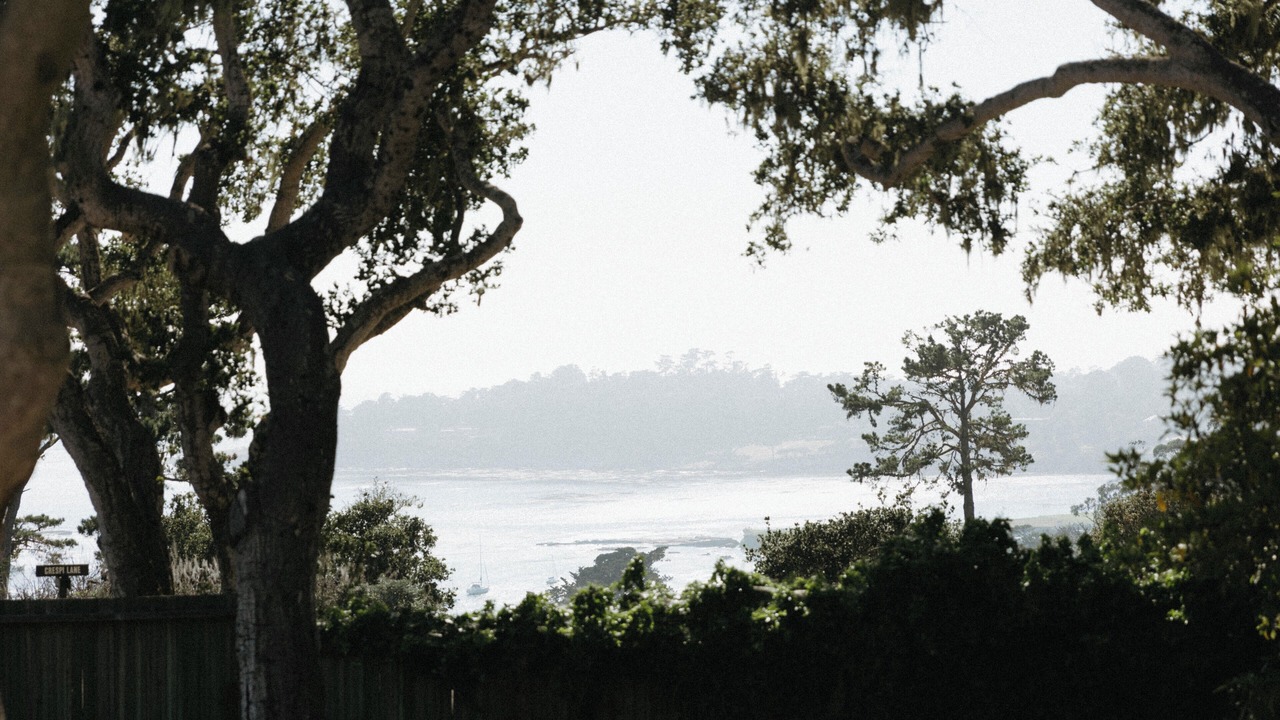 Photo of Others in Pebble Beach