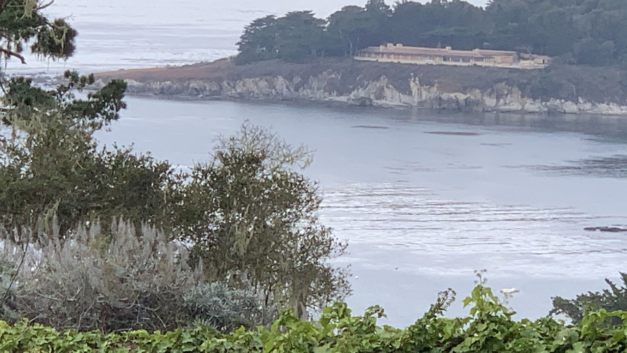 Photo of Others in Pebble Beach