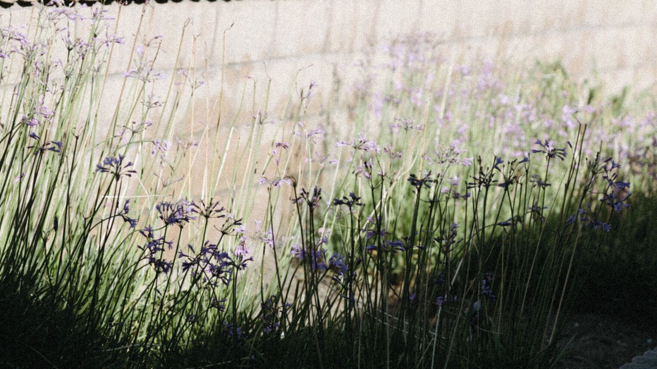 Photo of Outdoor in Pebble Beach