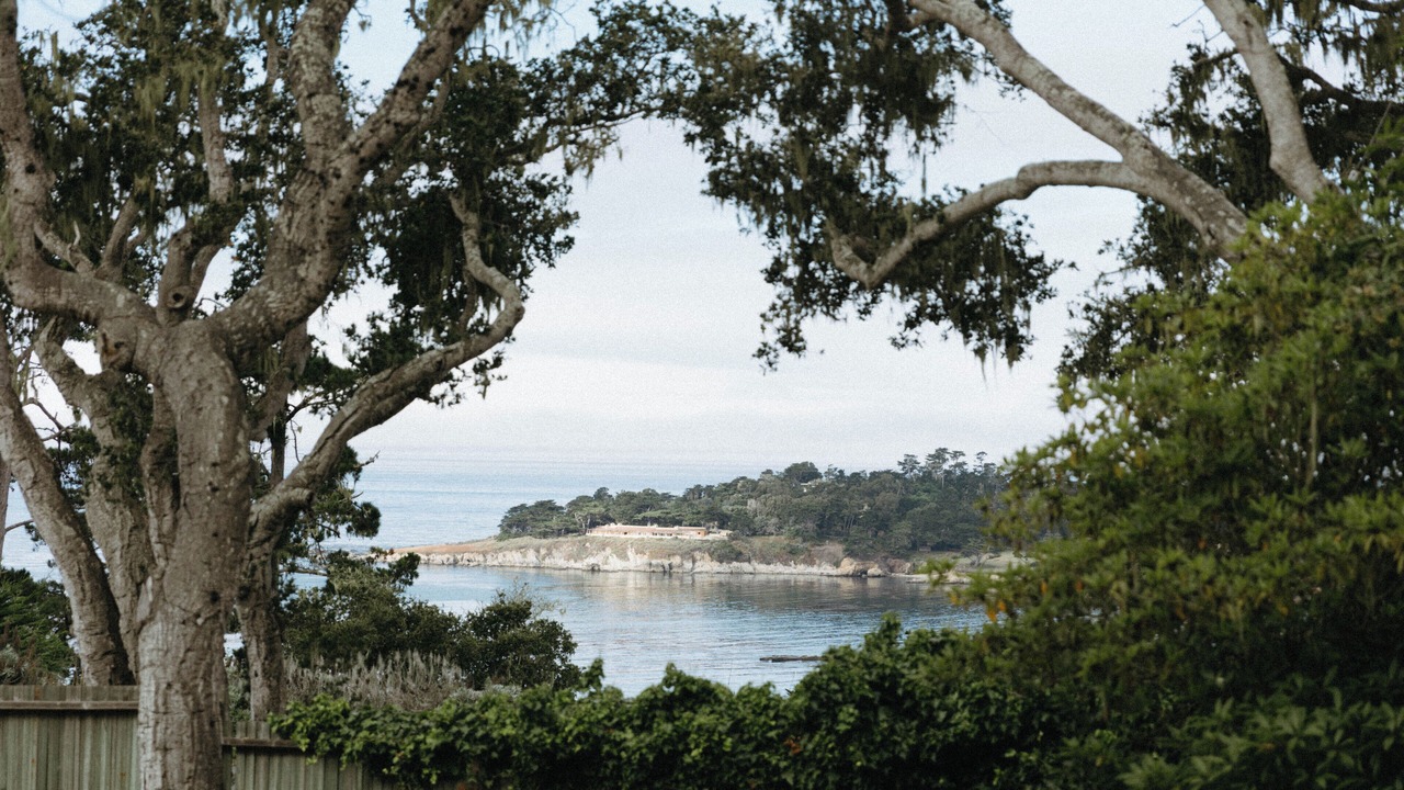 Photo of Others in Pebble Beach