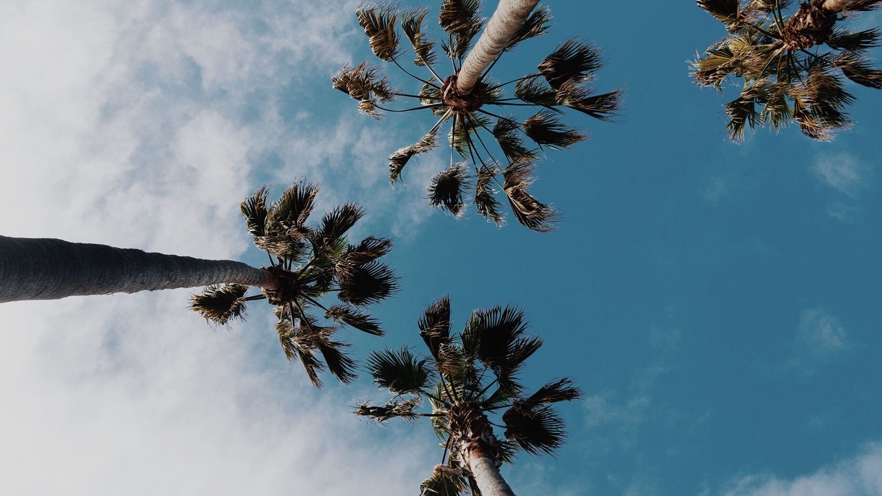 Photo of Outdoor in Hermosa Beach