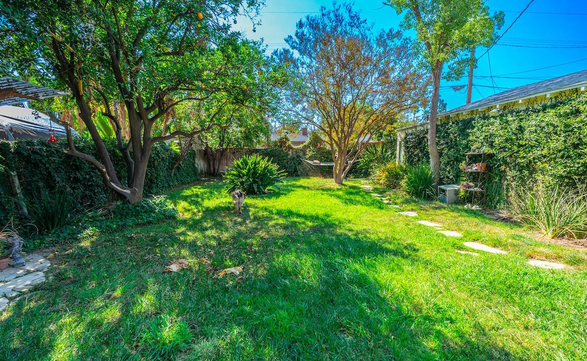 Photo of Outdoor in Valley Glen