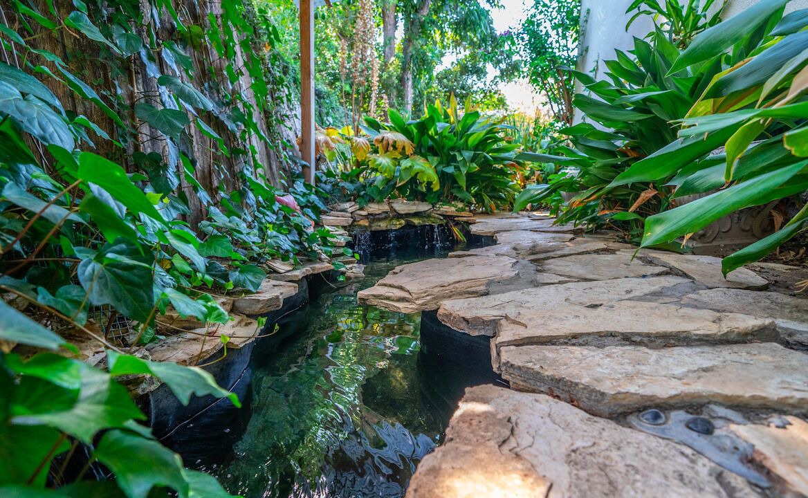 Photo of Outdoor in Valley Glen