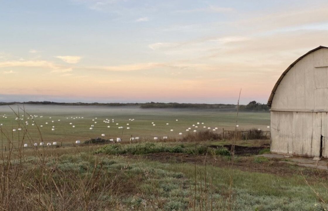 Photo of Outdoor in McKinleyville