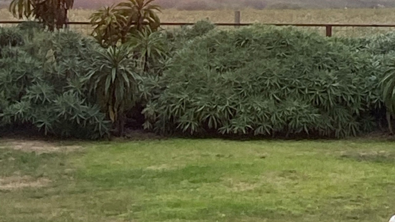 Photo of Outdoor in McKinleyville