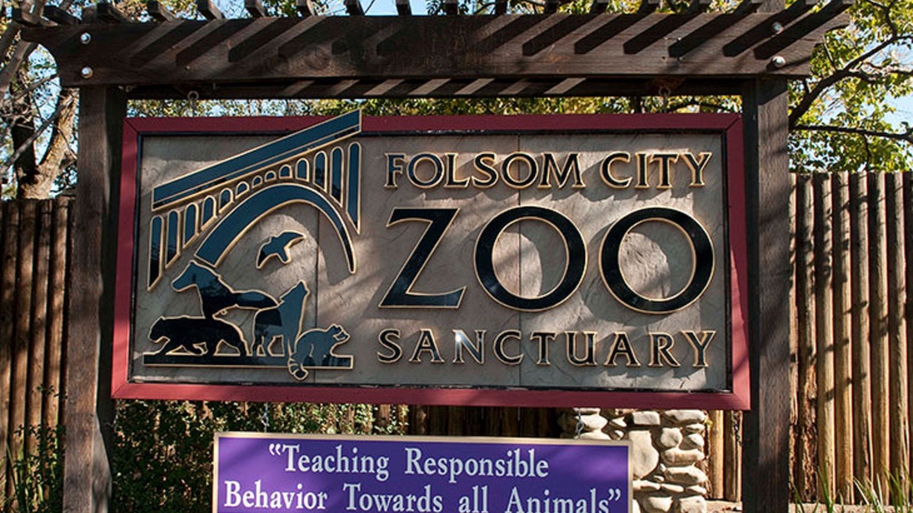 Photo of Others in Folsom