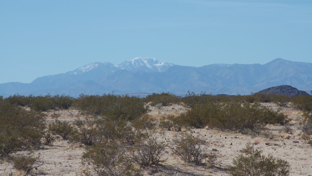 Photo of Others in Joshua Tree