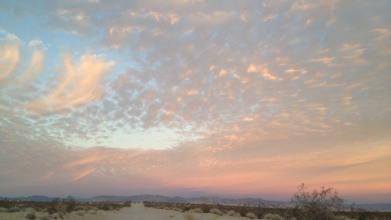 Photo of Others in Joshua Tree