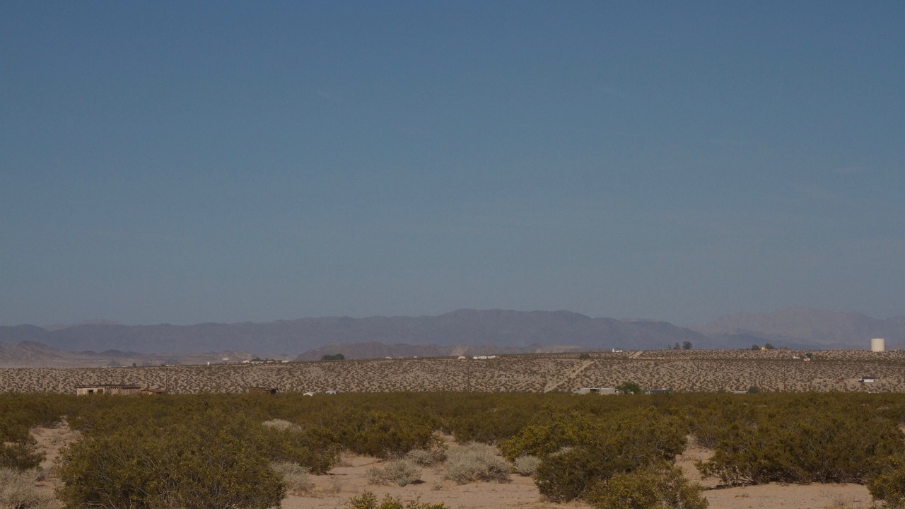 Photo of Others in Joshua Tree