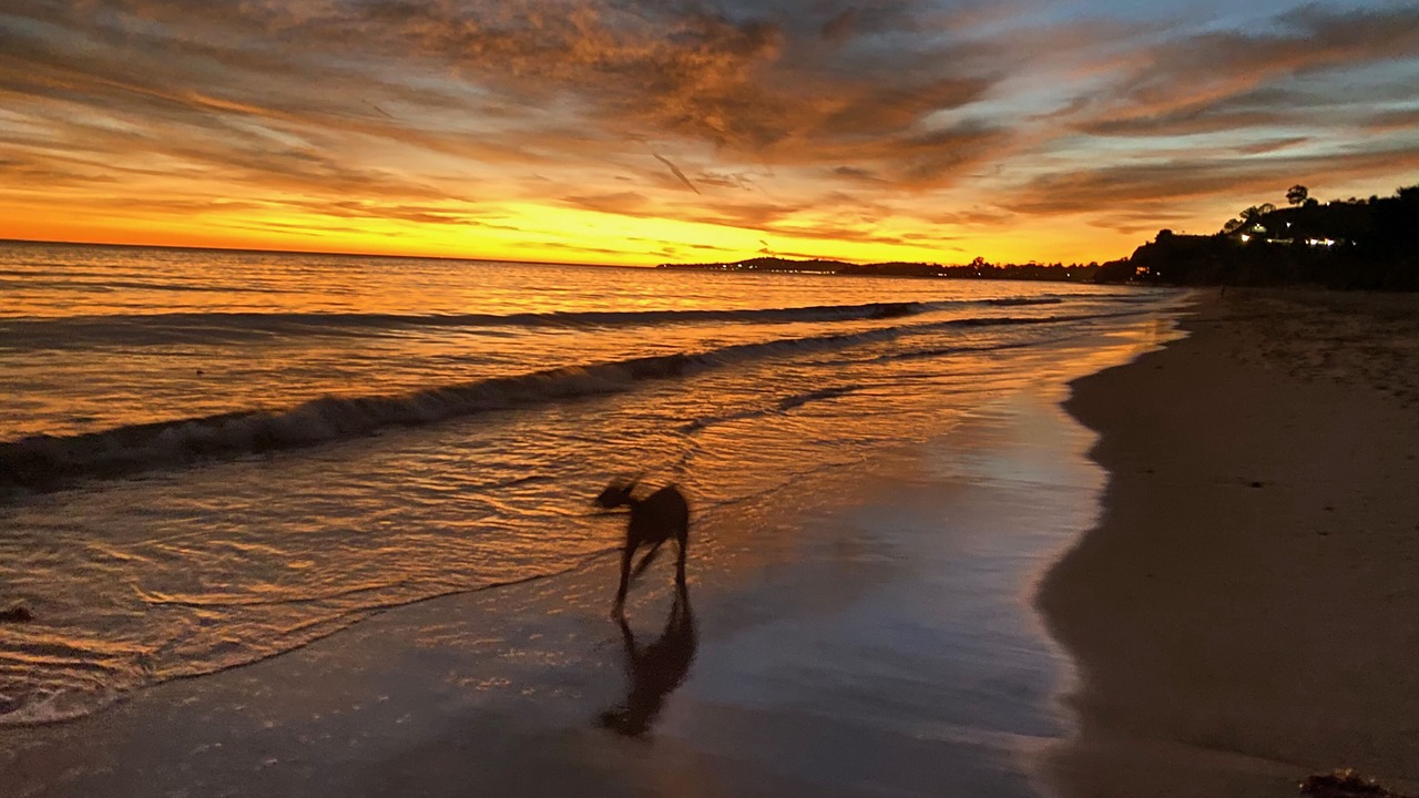 Photo of Others in Santa Barbara