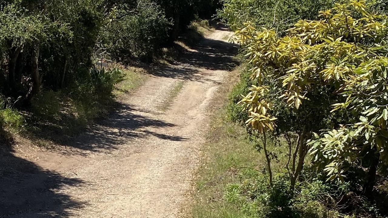 Photo of Outdoor in Santa Barbara