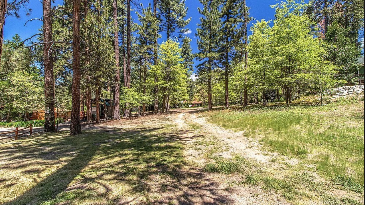 Photo of Outdoor in Idyllwild