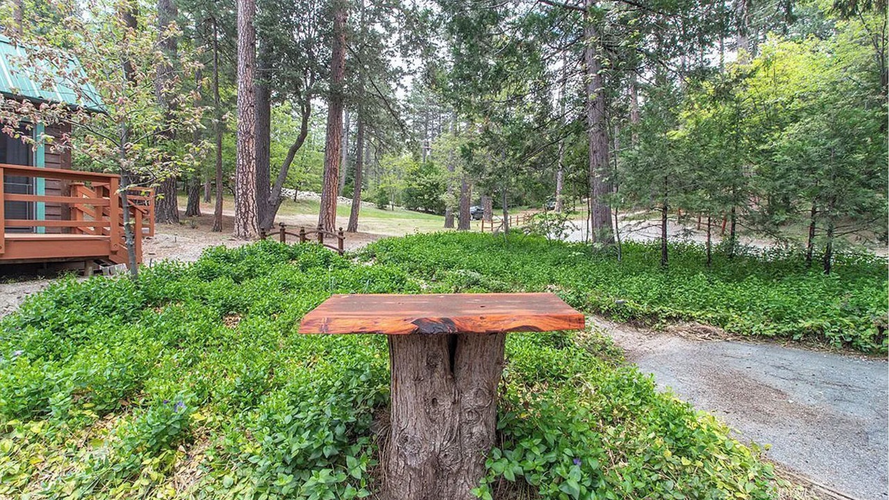 Photo of Outdoor in Idyllwild
