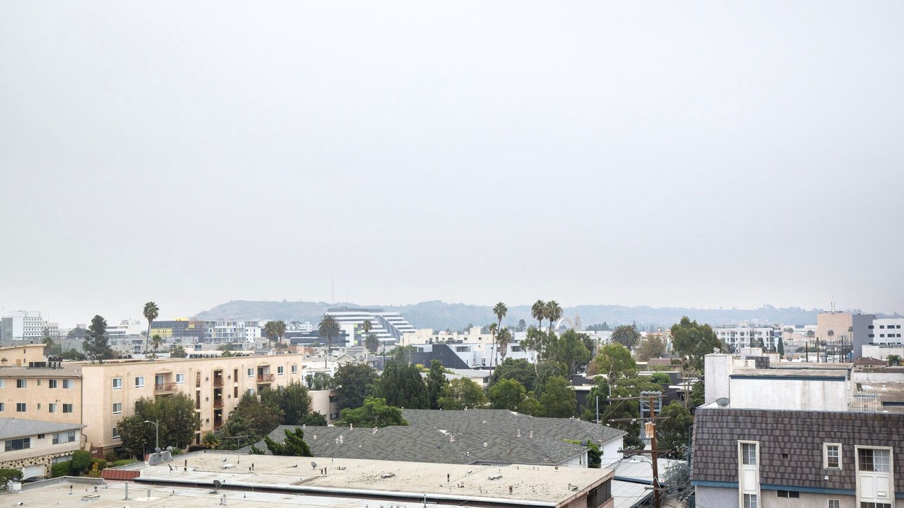 Photo of Others in Palms