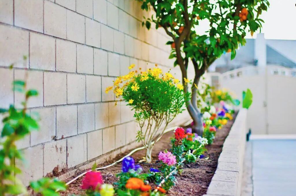 Photo of Outdoor in Hacienda Heights