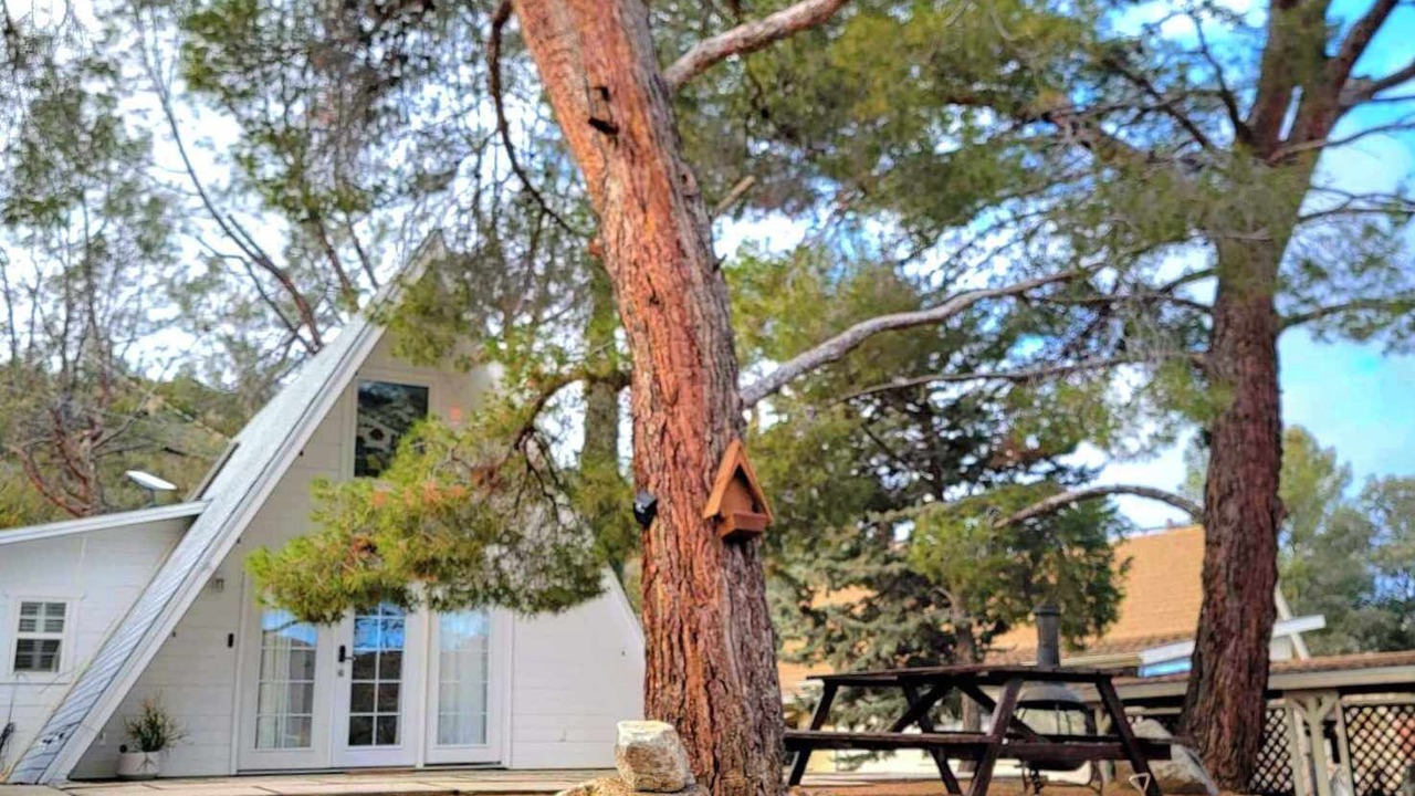 Photo of Outdoor in Bodfish