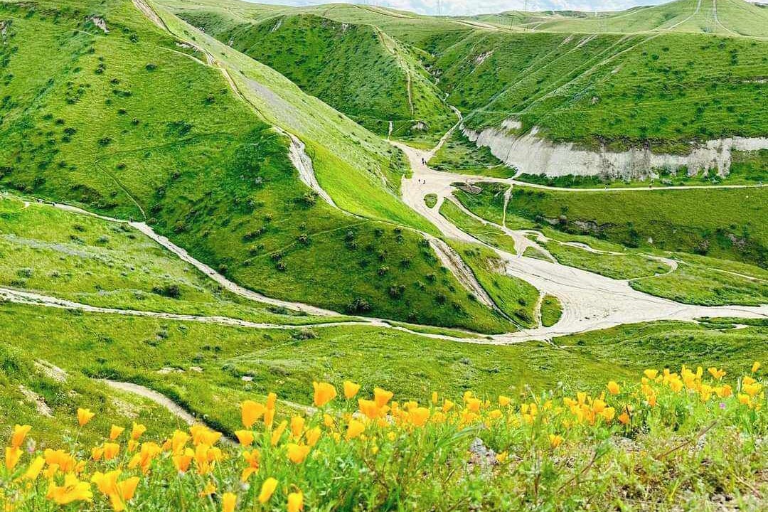 Photo of Outdoor in Bodfish