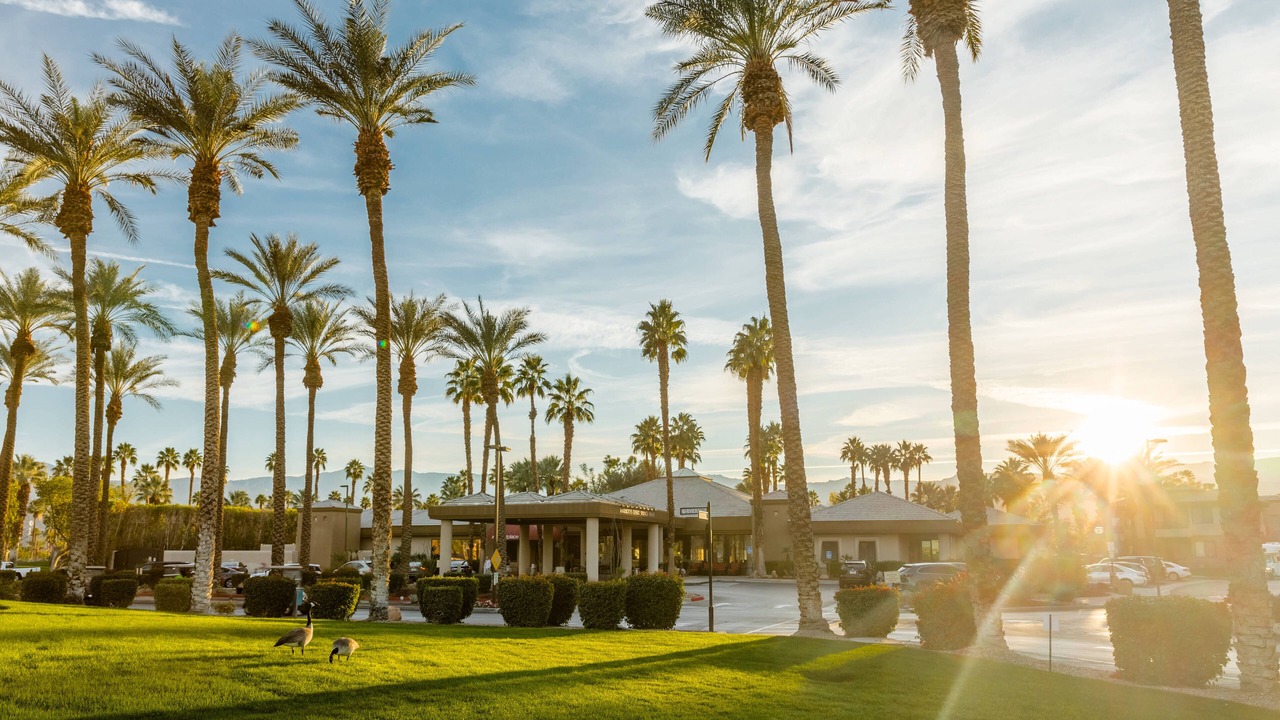 Photo of Outdoor in Palm Desert