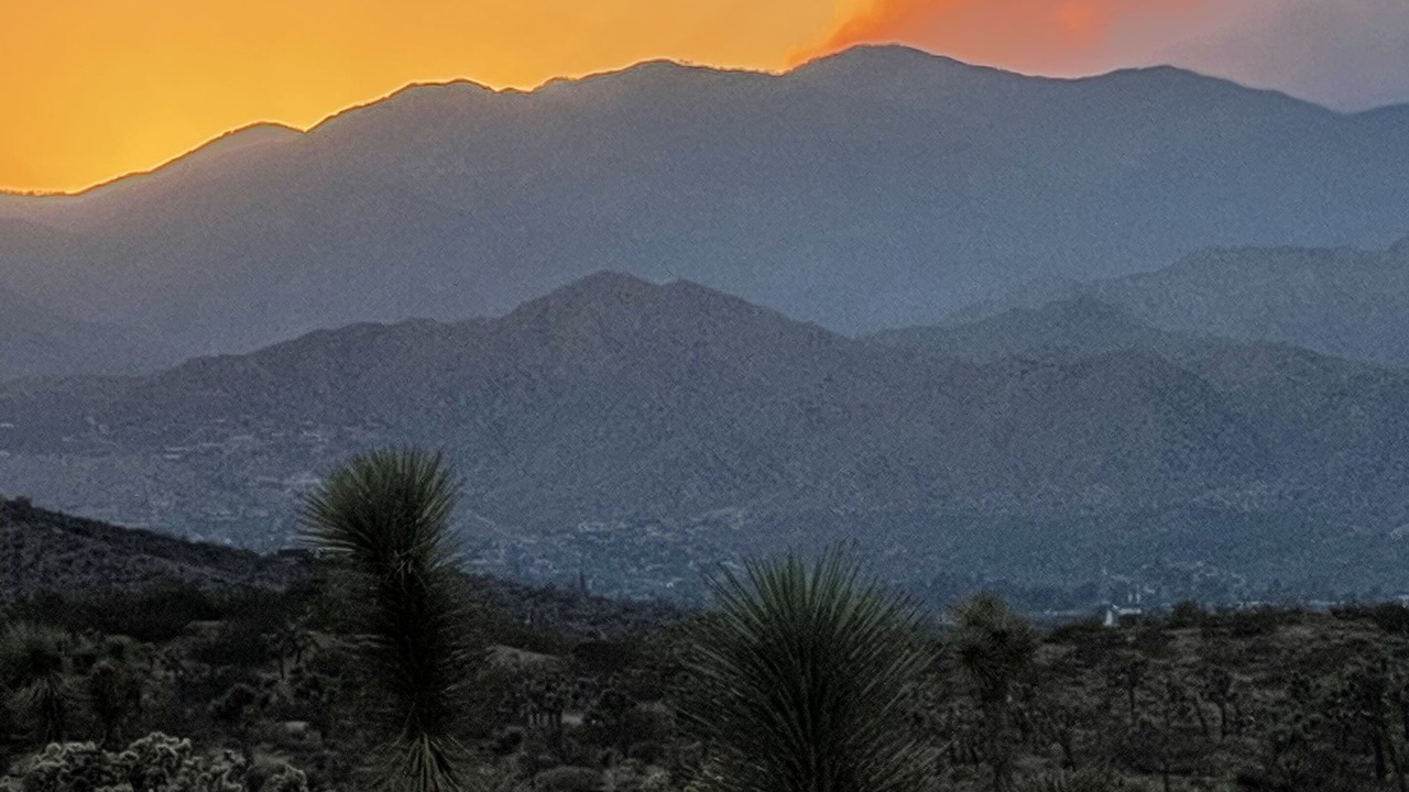 Photo of Others in Yucca Valley