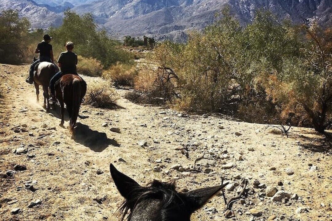 Photo of Others in Canyon Corridor