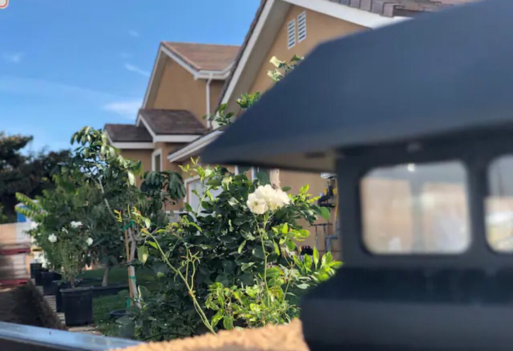Photo of Outdoor in Southwest Anaheim