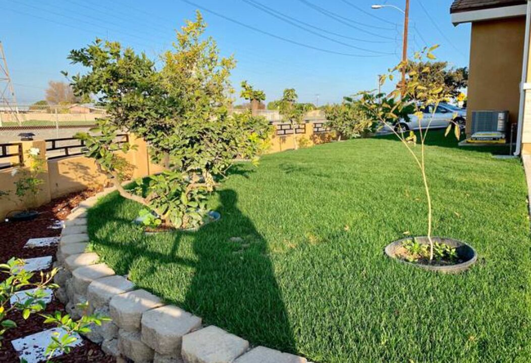 Photo of Outdoor in Southwest Anaheim