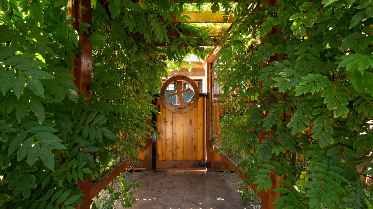 Photo of Outdoor in McKinleyville
