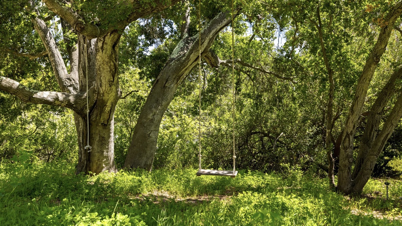 Photo of Others in Montecito