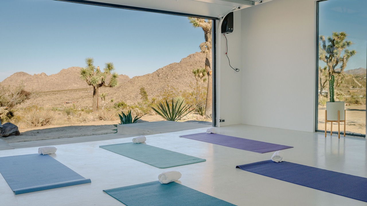 Photo of Others in Joshua Tree Highlands