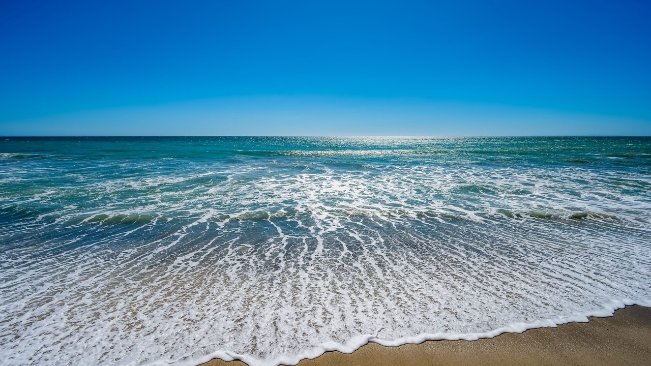 Photo of Others in Capistrano Beach