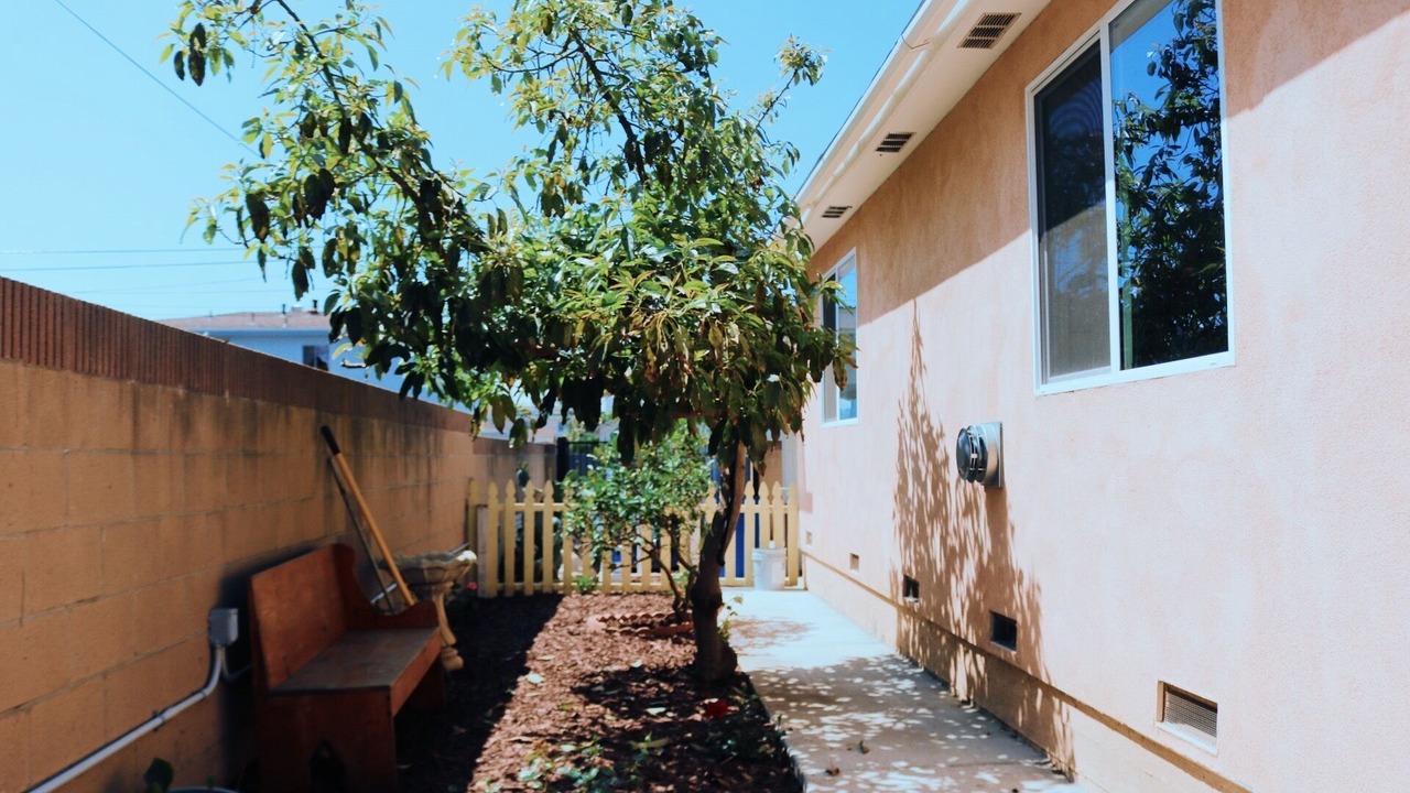 Photo of Outdoor in Harbor