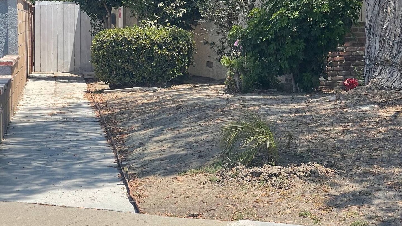 Photo of Outdoor in Anaheim Colony Historic District