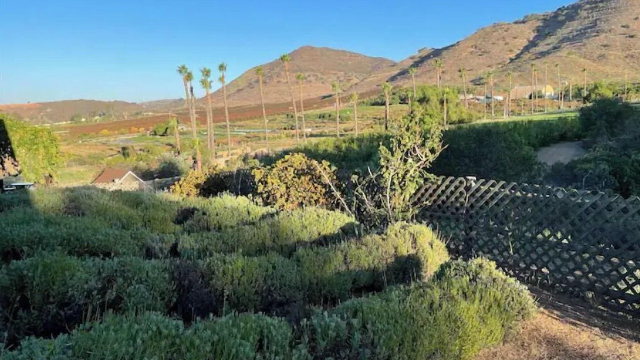 Photo of Outdoor in Valley Center
