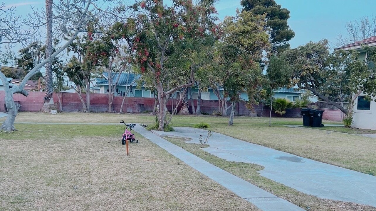 Photo of Outdoor in Westminster