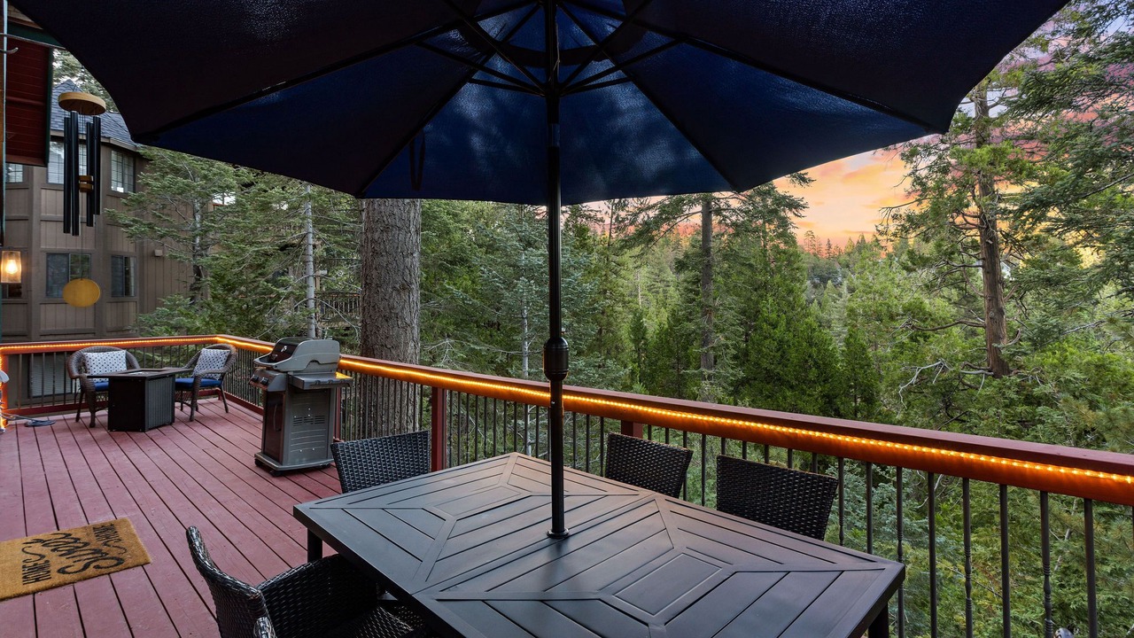 Photo of Outdoor in Blue Jay