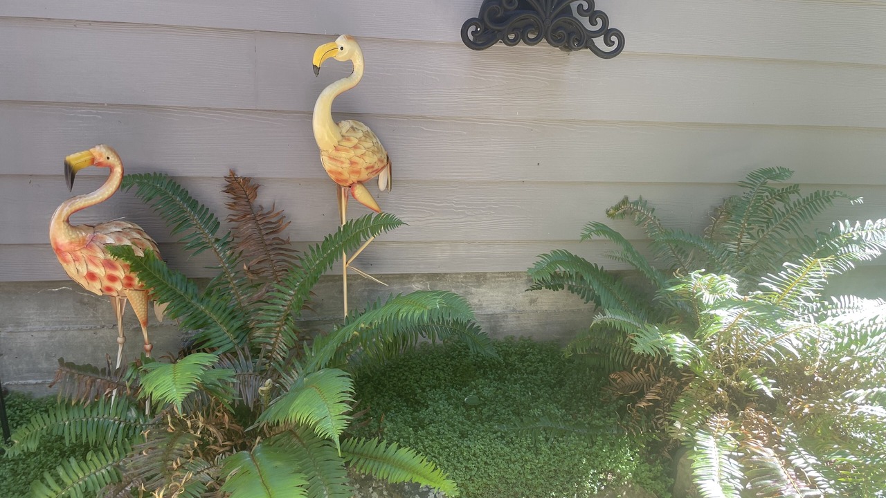 Photo of Outdoor in Myers Flat