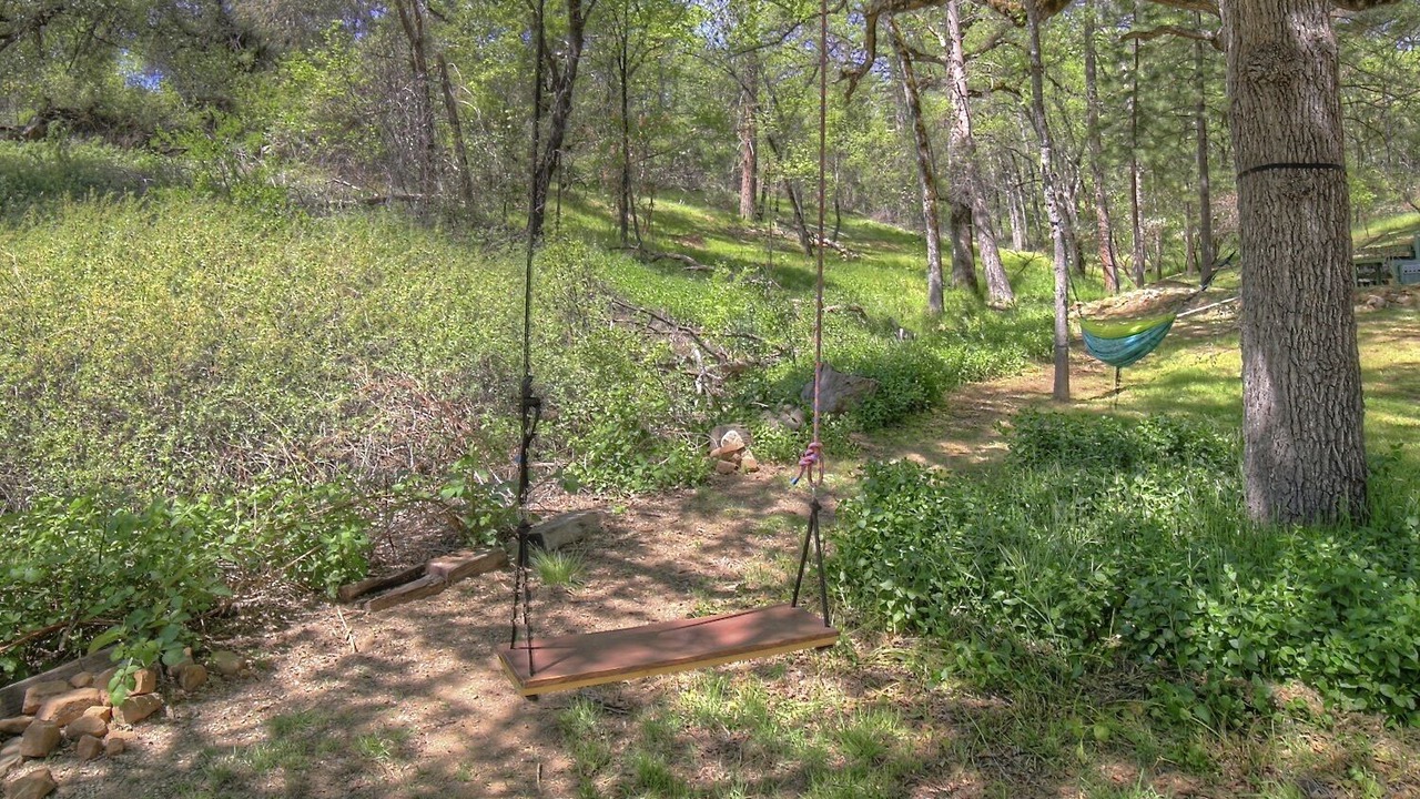 Photo of Others in Yosemite Forks