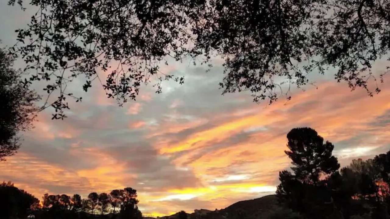 Photo of Others in Agua Dulce