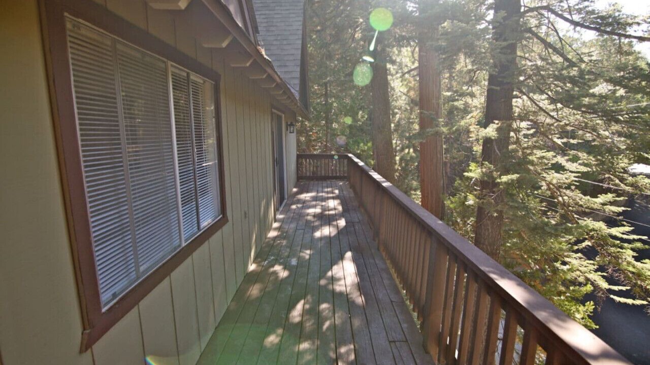 Photo of Outdoor in Blue Jay