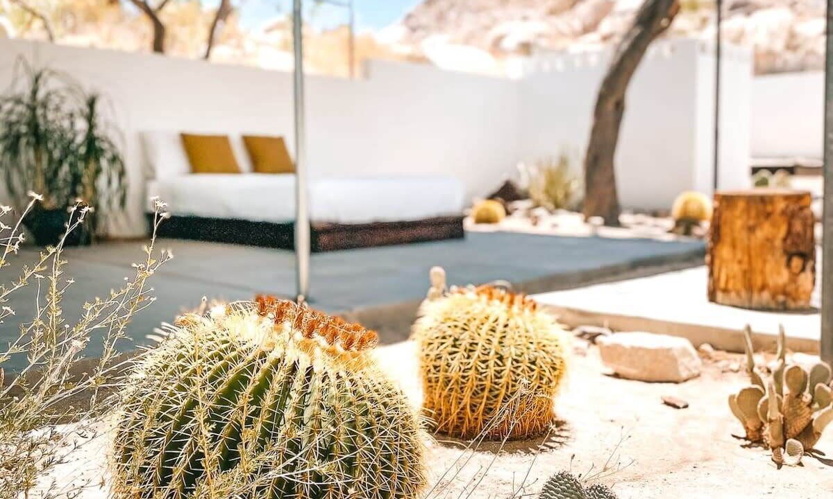 Photo of Outdoor in Panorama Heights