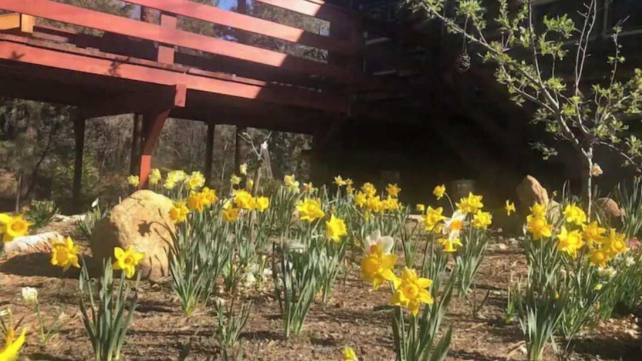 Photo of Outdoor in Idyllwild