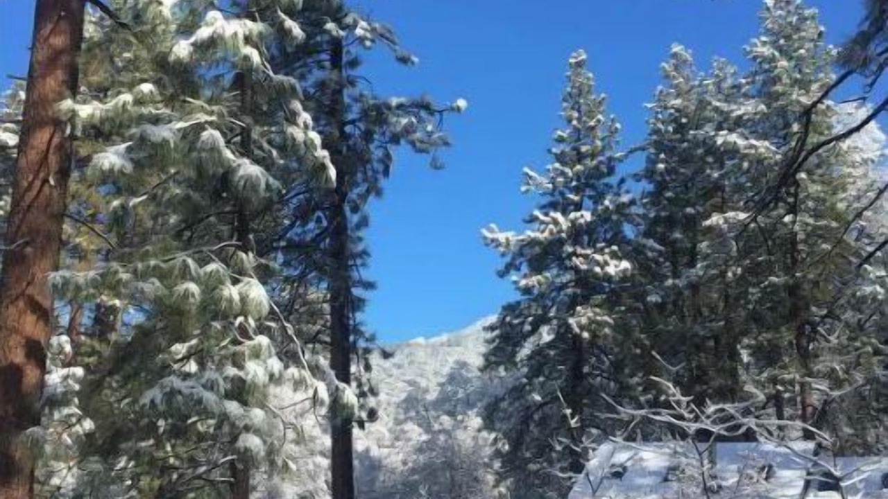 Photo of Others in Idyllwild