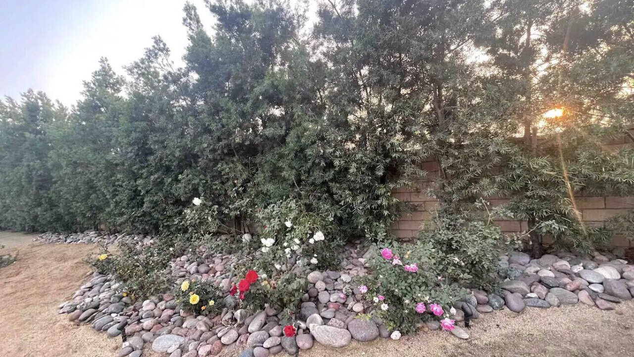 Photo of Outdoor in Glendora