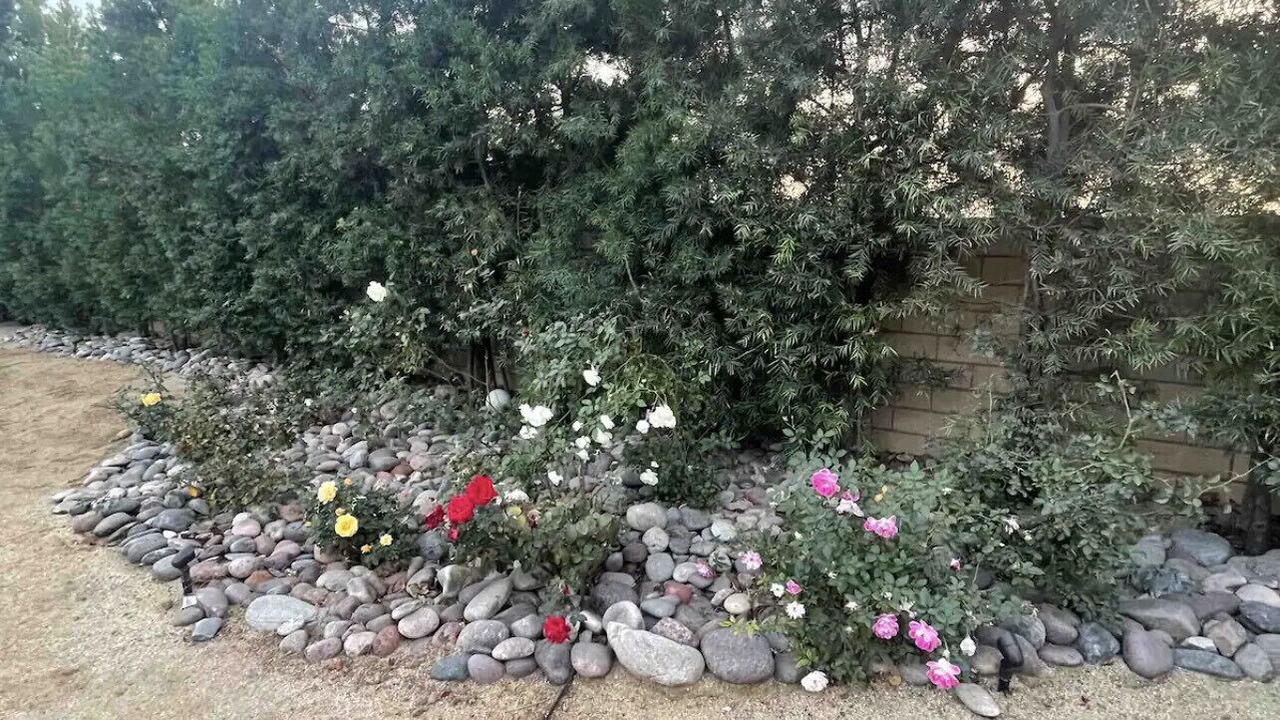 Photo of Outdoor in Glendora