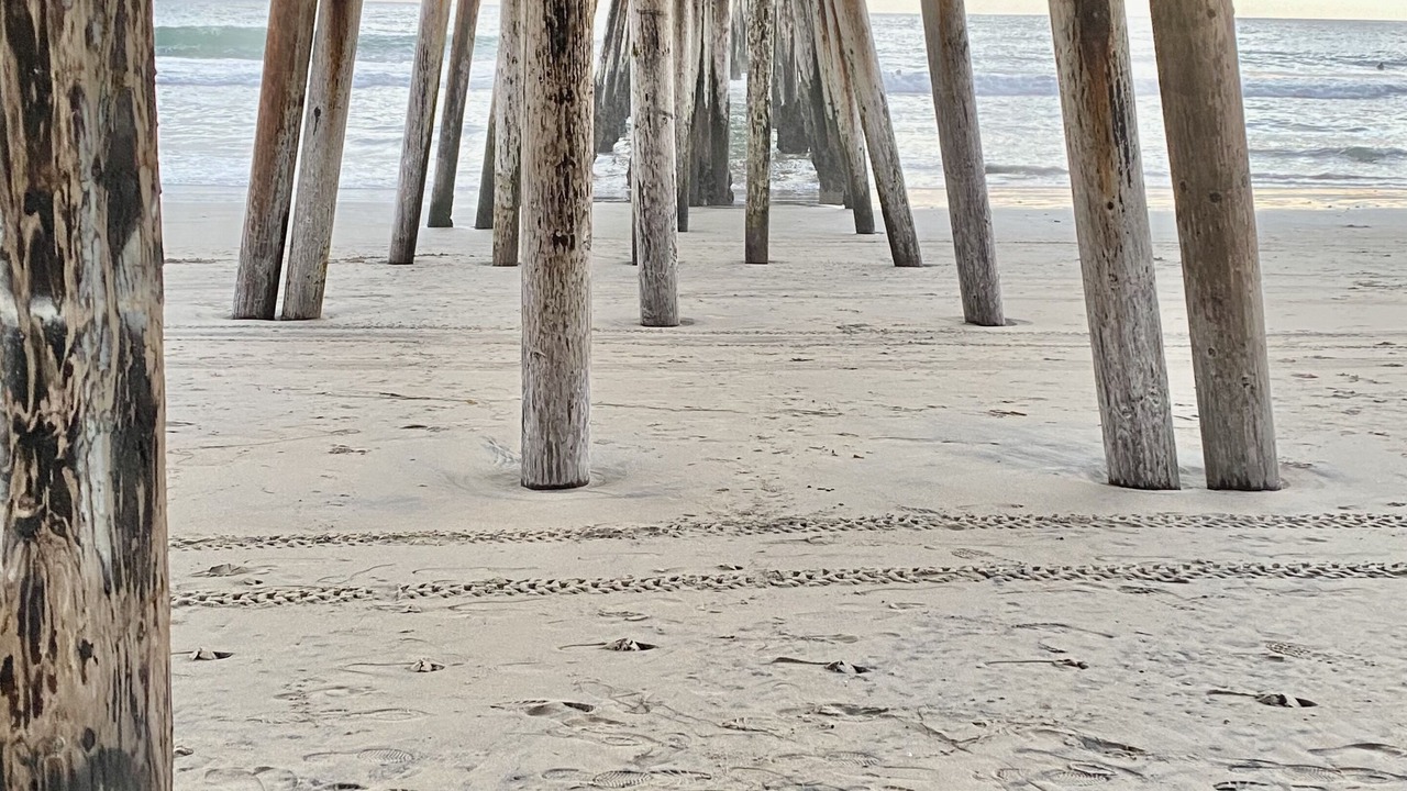 Photo of Others in Imperial Beach