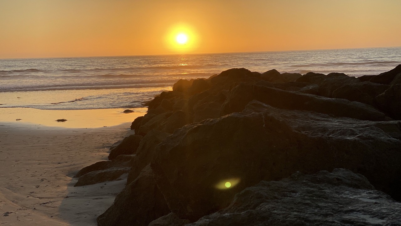 Photo of Others in Imperial Beach