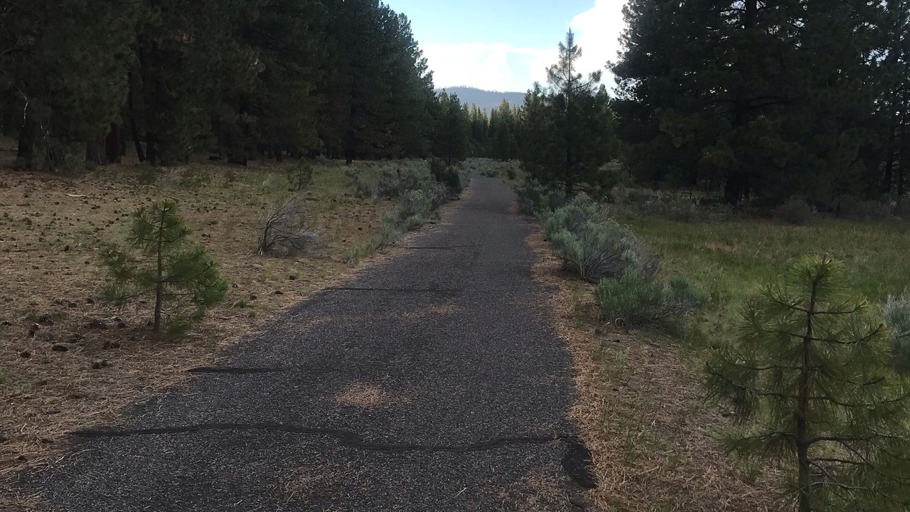 Photo of Outdoor in Susanville