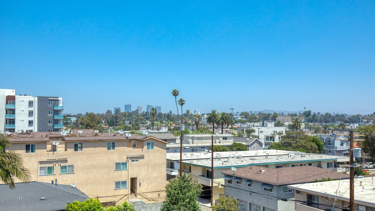 Photo of Others in Palms