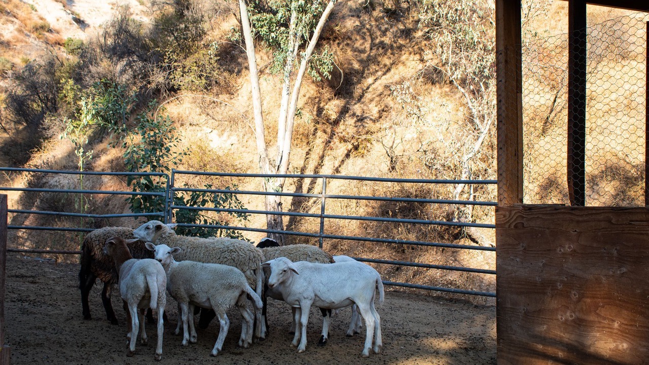 Photo of Outdoor in Sylmar